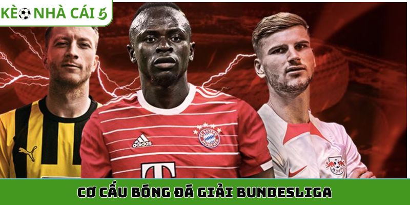 Cơ cấu bóng đá giải Bundesliga