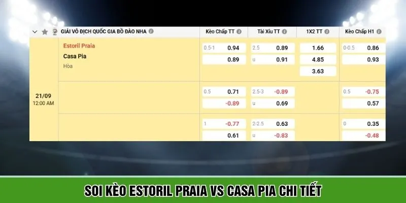 Thông tin bảng kèo Estoril Praia vs Casa Pia chi tiết