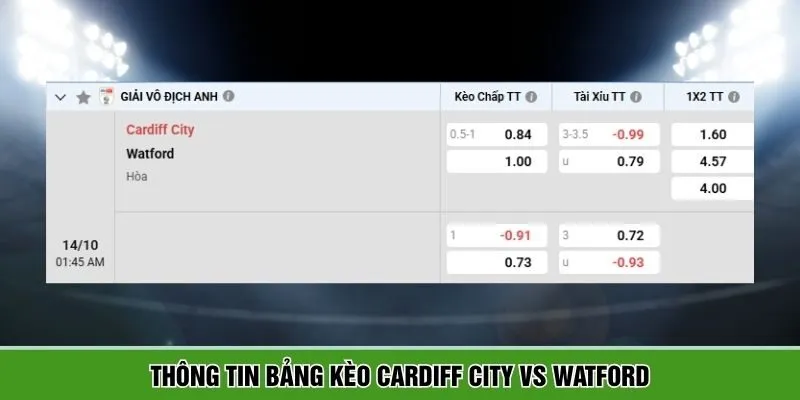 Thông tin bảng kèo giữa Cardiff City vs Watford